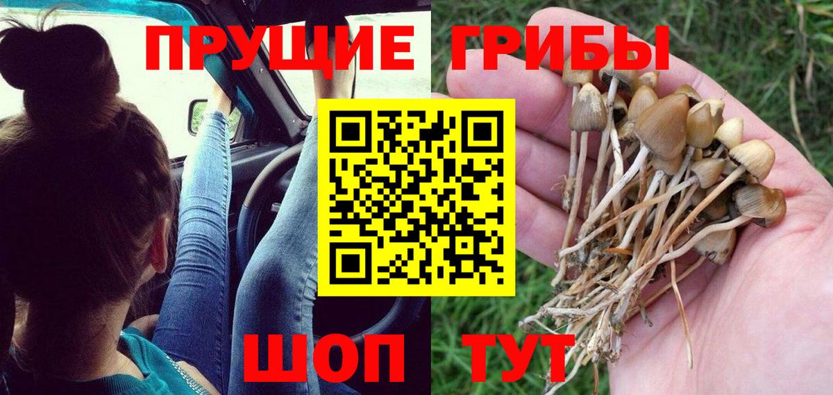 даркнет сайт  Псилоцибиновые грибы Psilocybine cubensis  Вход с VPN  Коряжма 